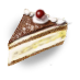 cake_piece.png